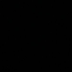 Meet your Posher, Adrianna